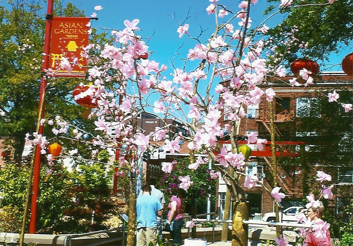 Asian Gardens of Shreveport: A Tranquil Oasis Awaits 4 Asian Gardens of Shreveport: A Tranquil Oasis Awaits