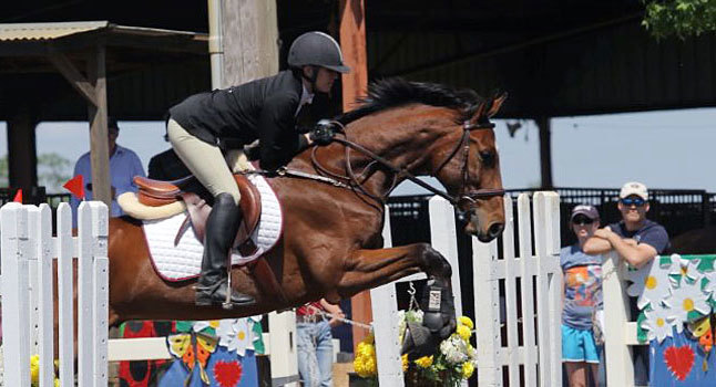 Holly Hill Farm Equestrian Center