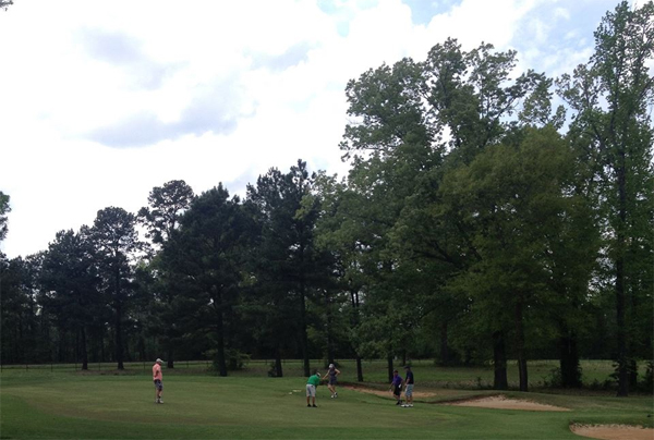 Crooked Hollow Golf Club