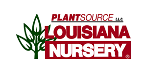 Louisiana Nursery