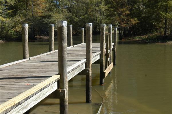 Richard Fleming Park