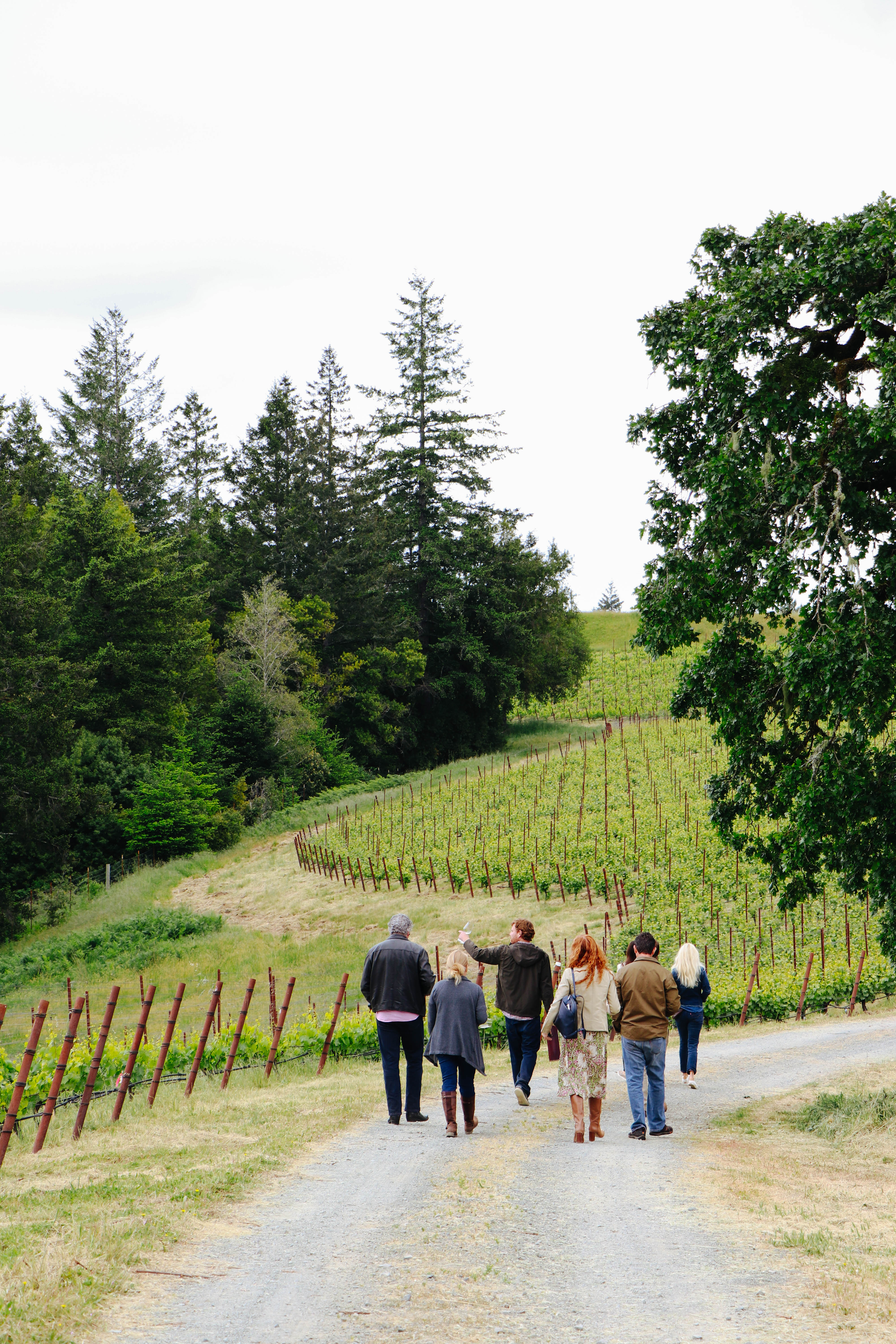 red car winery