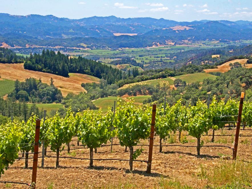 Sonoma Outfitters – Sonoma County Tourism