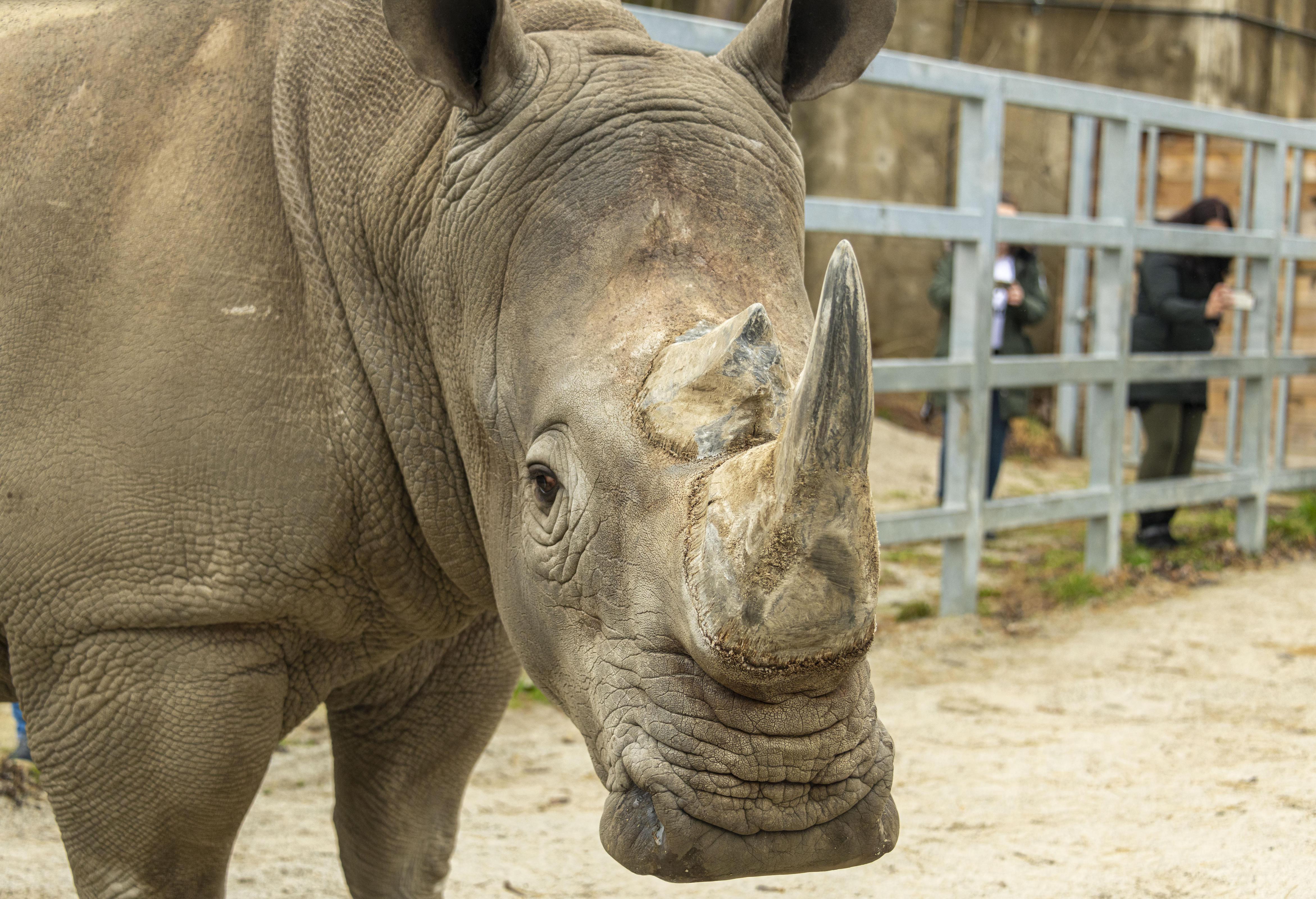 Zoo Winter Days 2026 | South Bend, IN 46615
