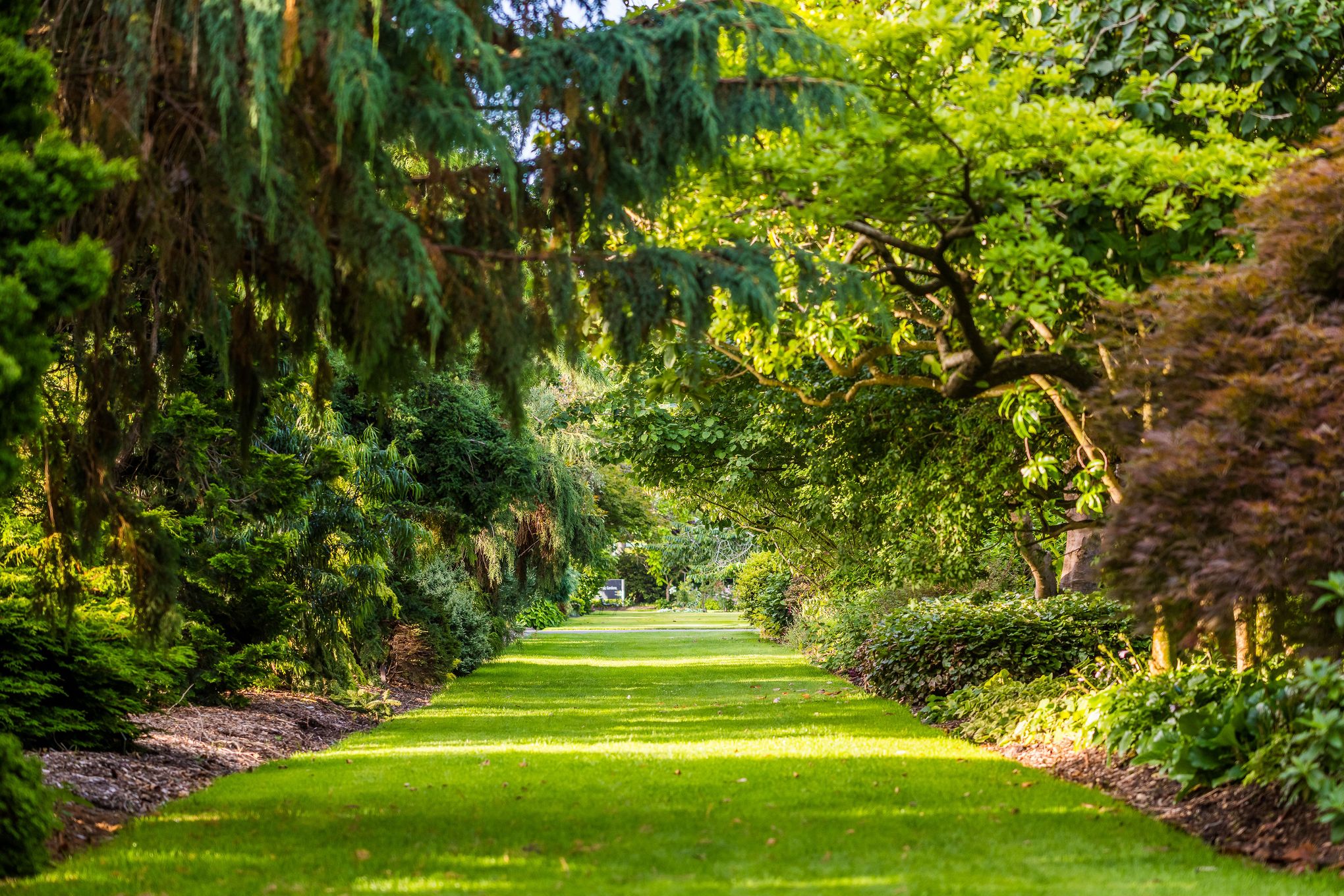 Gore Public Gardens