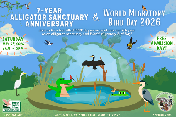【PSA9】ビジュアルアドベンチャー No.108 覇国（リトルガーデン） 7th Alligator Sanctuary Anniversary & World Migratory Bird Day 2026