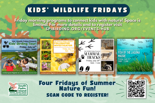 Kids' Wildlife Fridays: Kids' Birding Tour