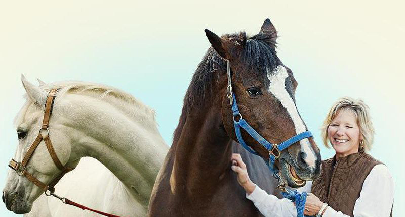 South Padre Island Equestrian & Polo Centre