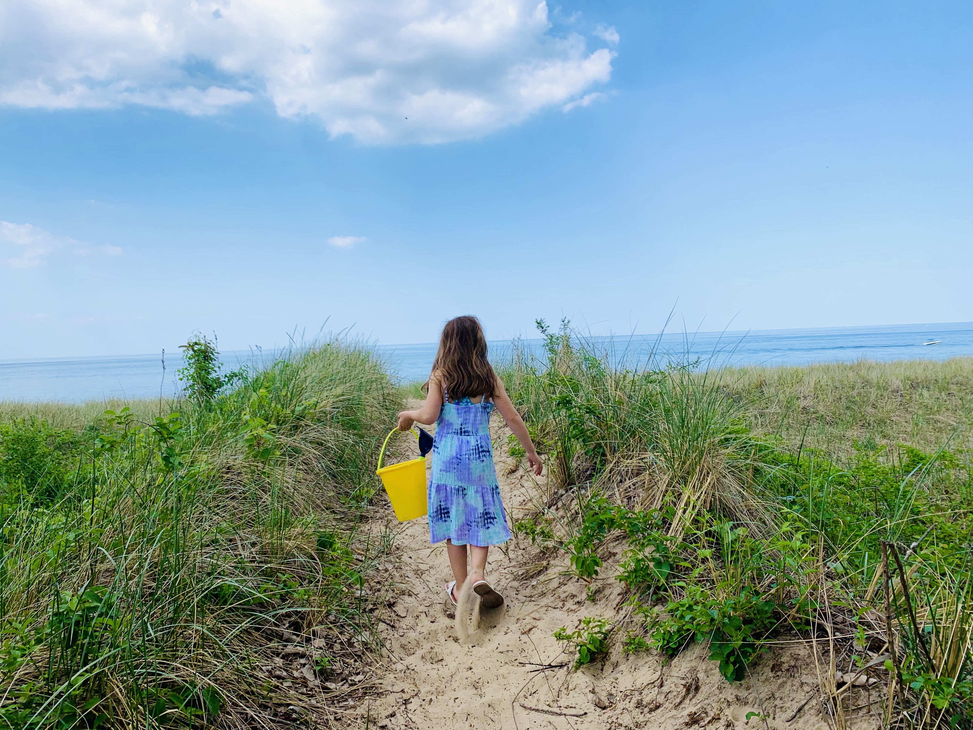 Visit Miller Beach