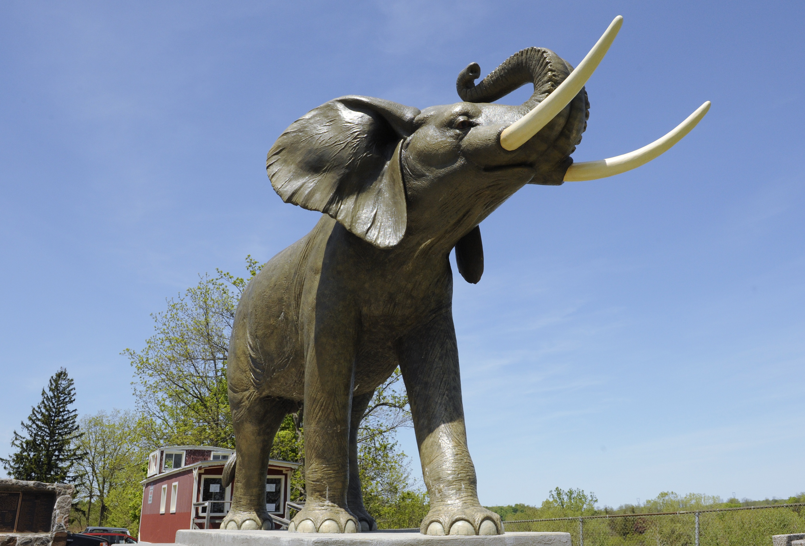 schroot Duidelijk maken oogopslag Jumbo The Elephant Monument