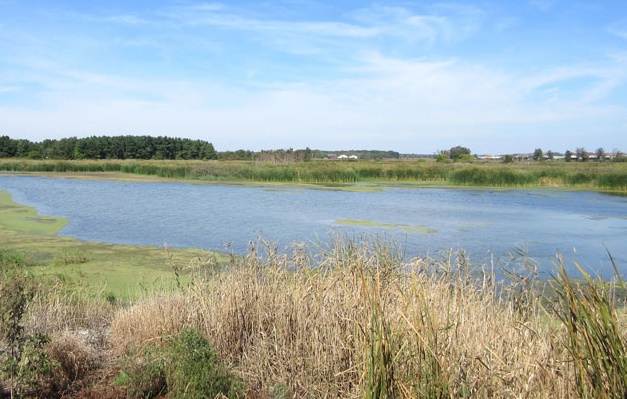 Port Rowan Wetlands