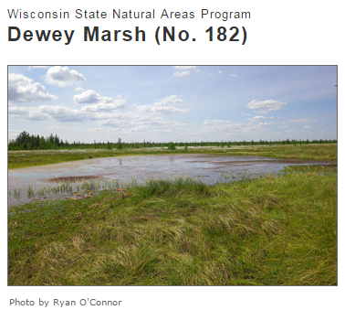 Dewey Marsh Wildlife Area