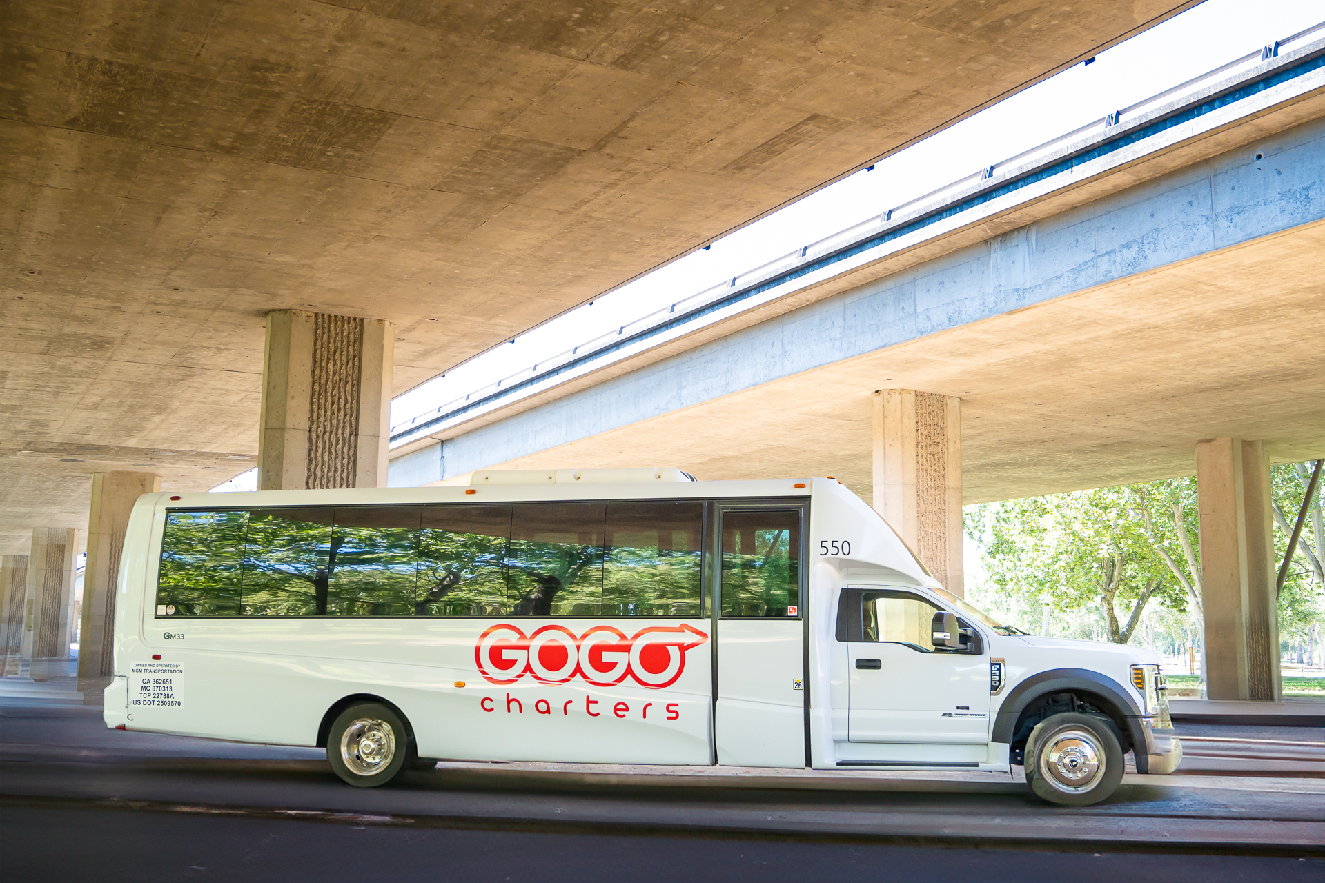 GOGO Charters Springfield