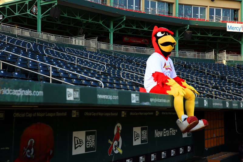 Springfield Cardinals specialty 'City Jersey' announced for August 20-21 at  Hammons Field