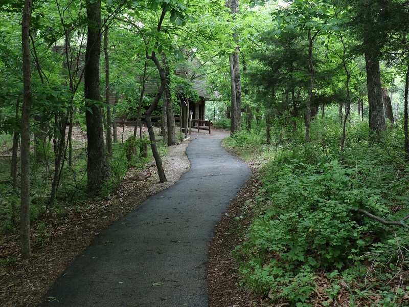 are dogs allowed at the springfield nature center