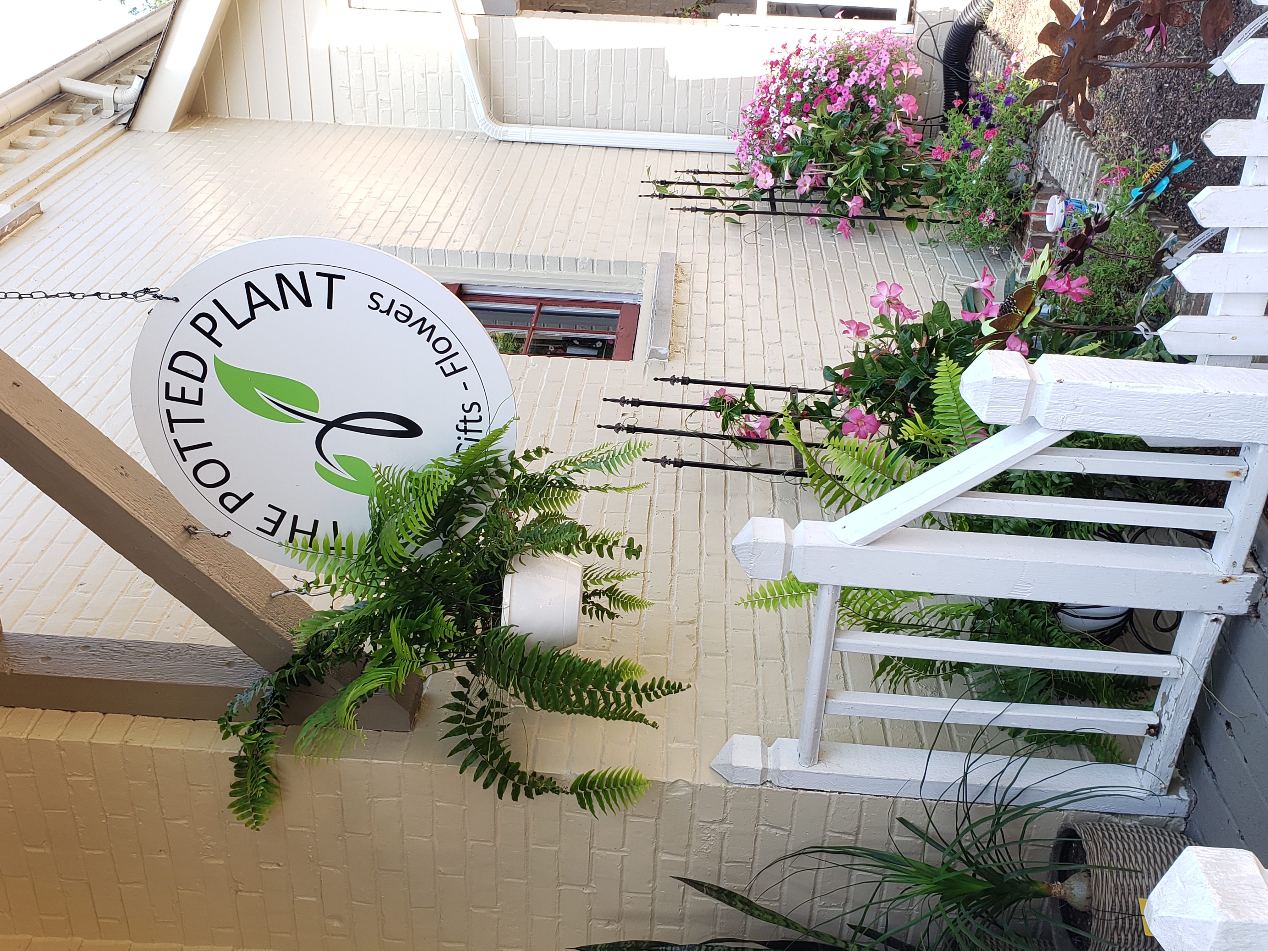self watering plant insert PW AquaPots® Lite Insert main image 1
