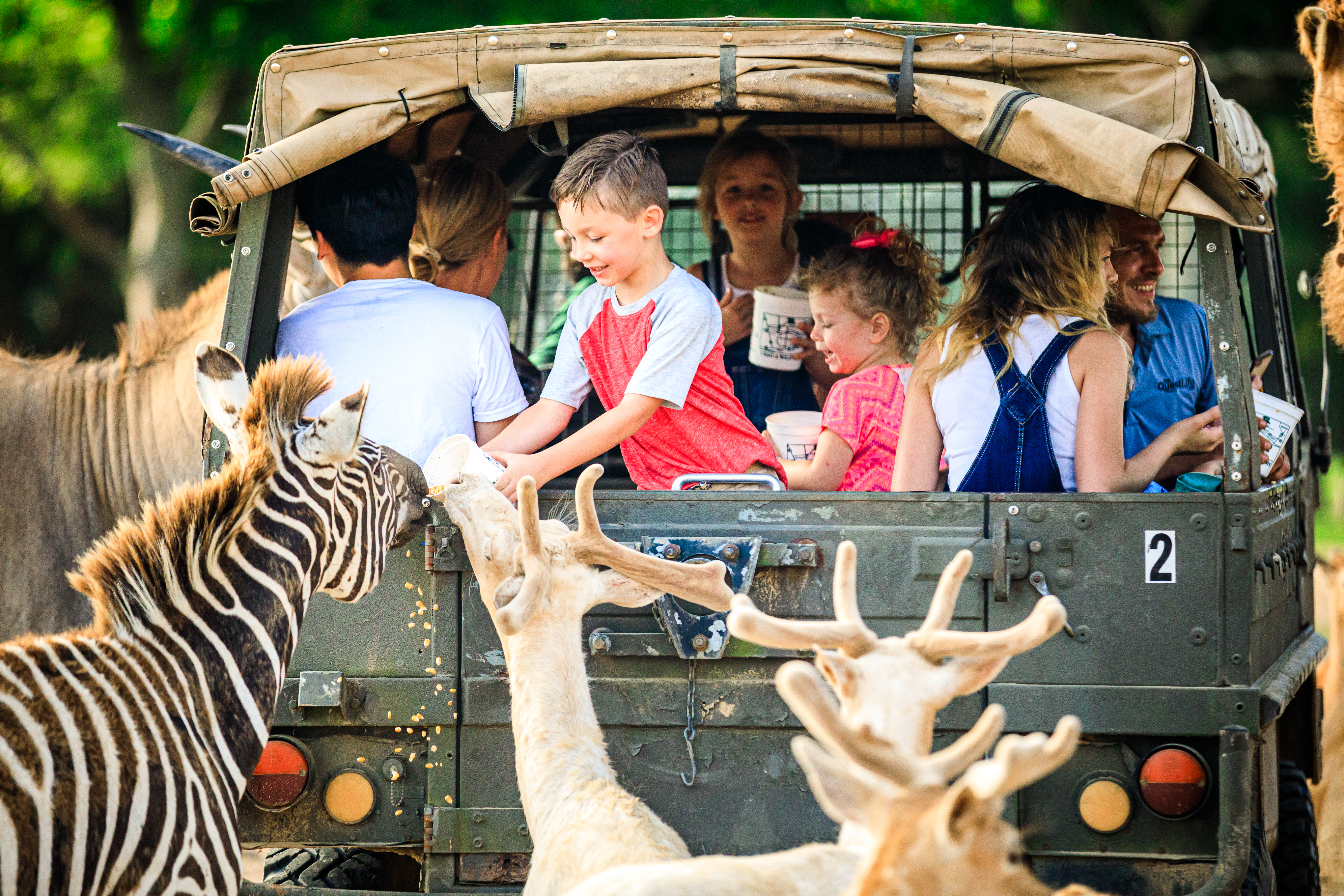 Global Wildlife Center