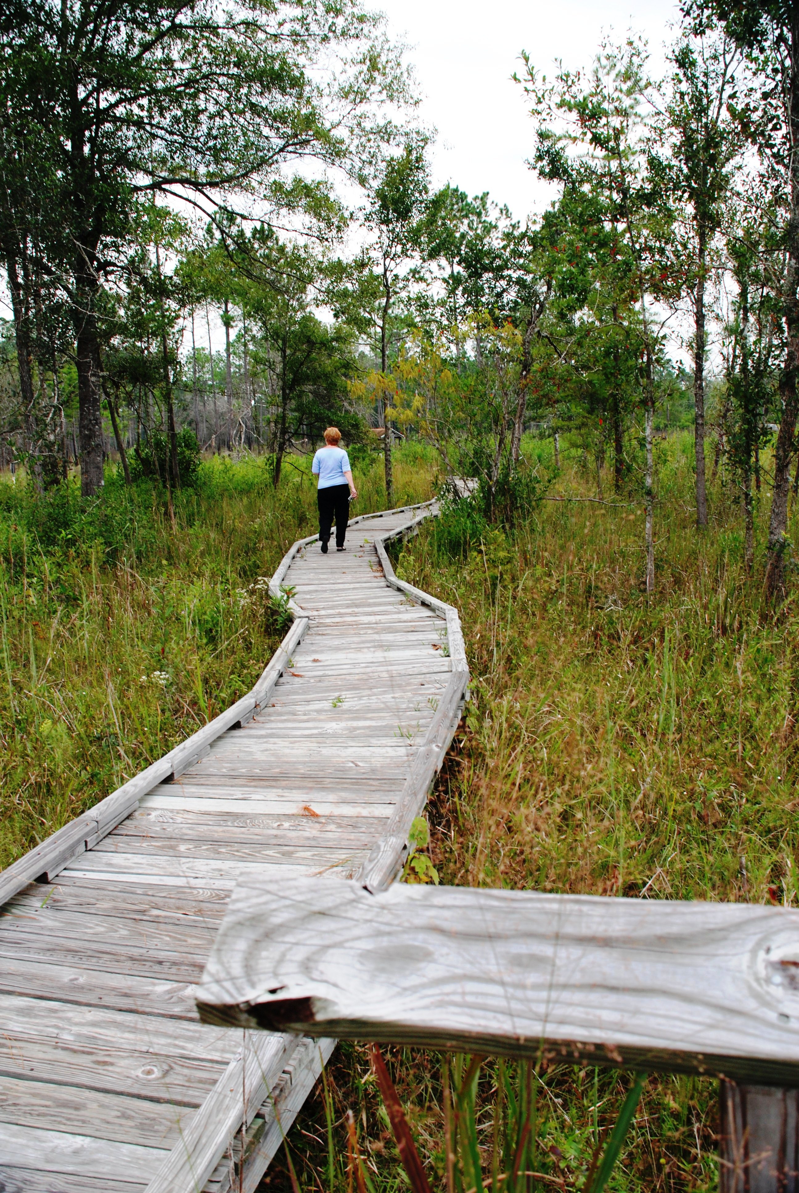 Abita Springs