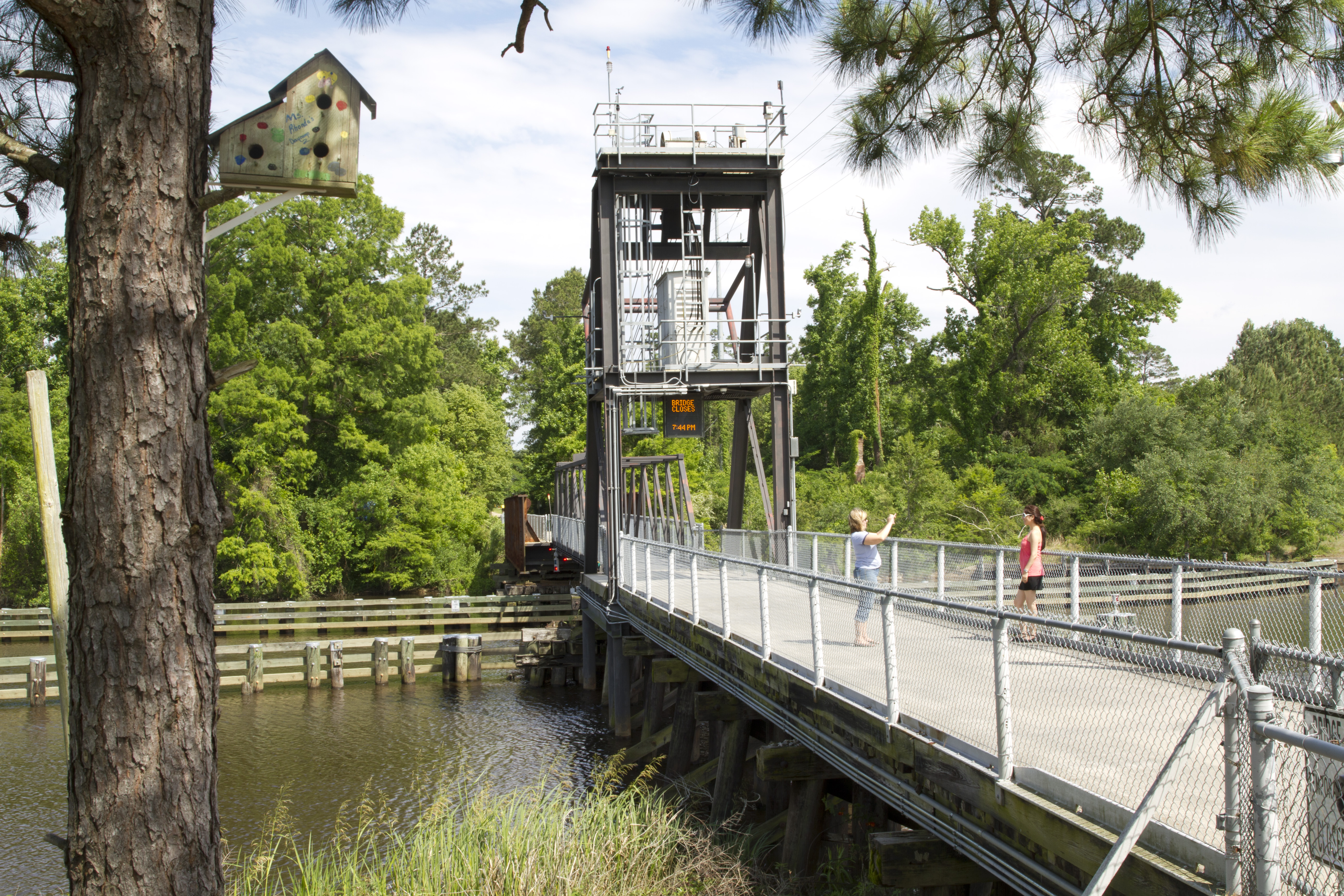 Tammany Trace Trail Map Tammany Trace | Mandeville, La 70471