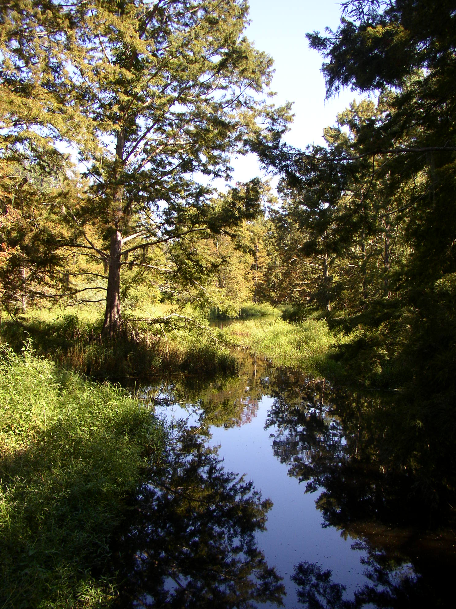 outdoor center covington la on Northlake Nature Center Mandeville La 70448