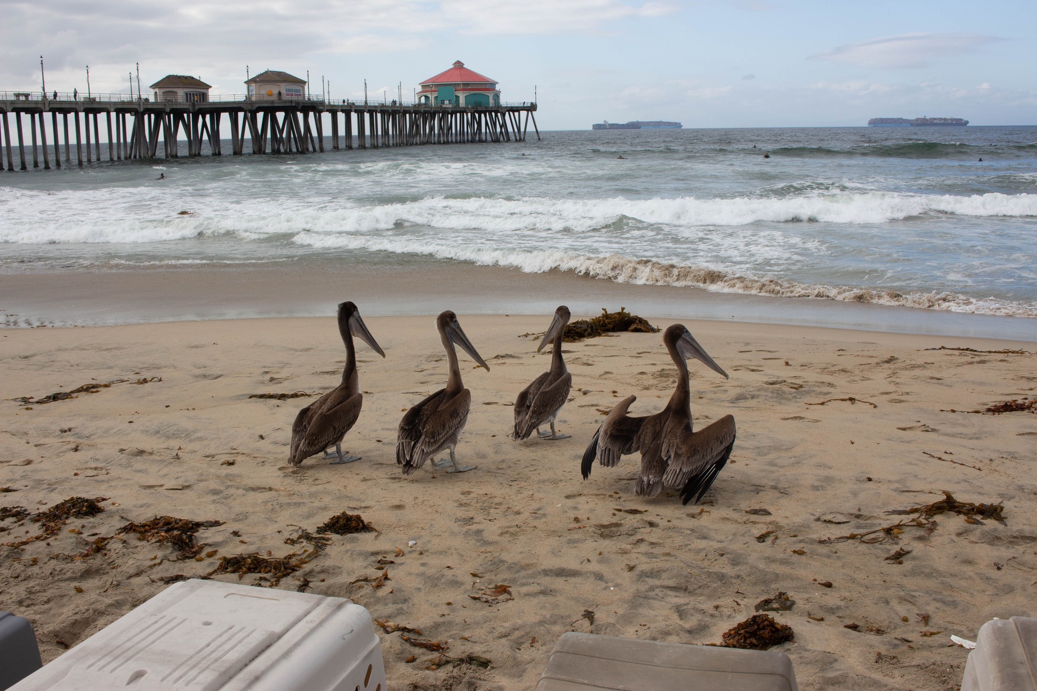 Wetlands and Wildlife Care Center