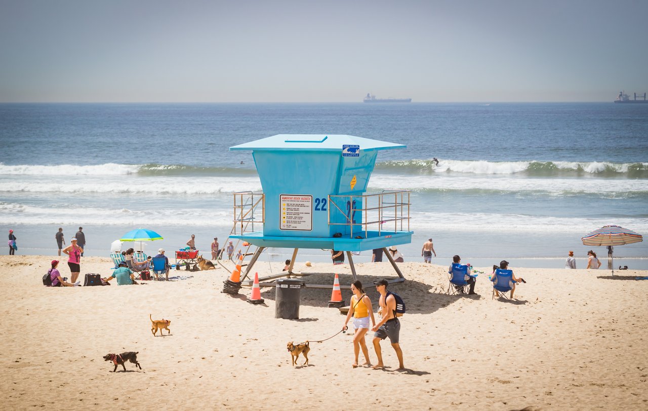 are dogs allowed on huntington beach