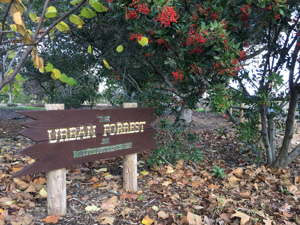 URBAN FOREST カラビナ TheArth.ver 4個 URBAN FOREST カラビナ TheArth.ver | TheArth＿six
