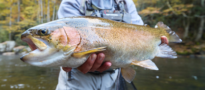 The Tim Hill Memorial Trout Tournament