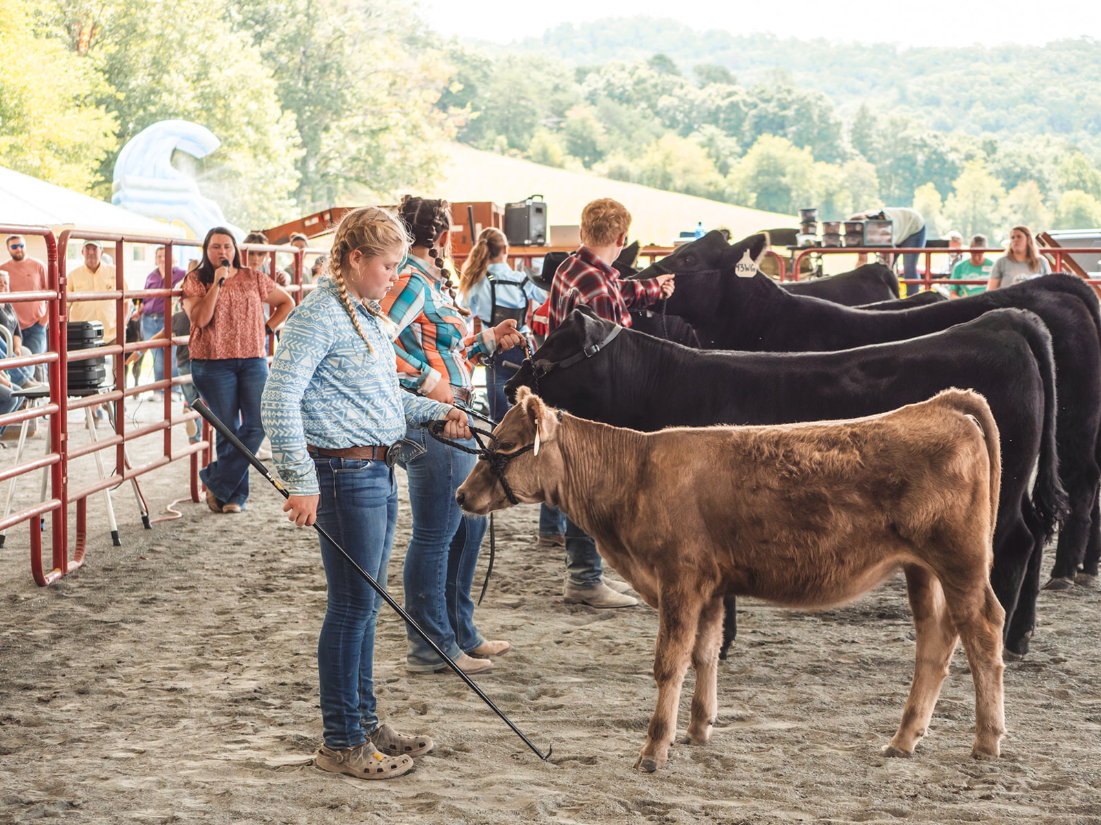 Swain County Agricultural Fair