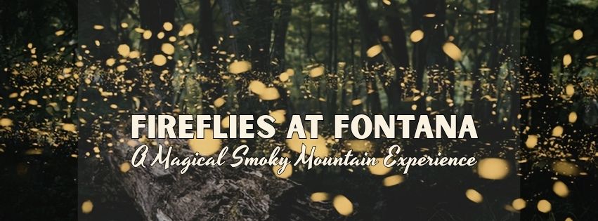 Fireflies at Fontana