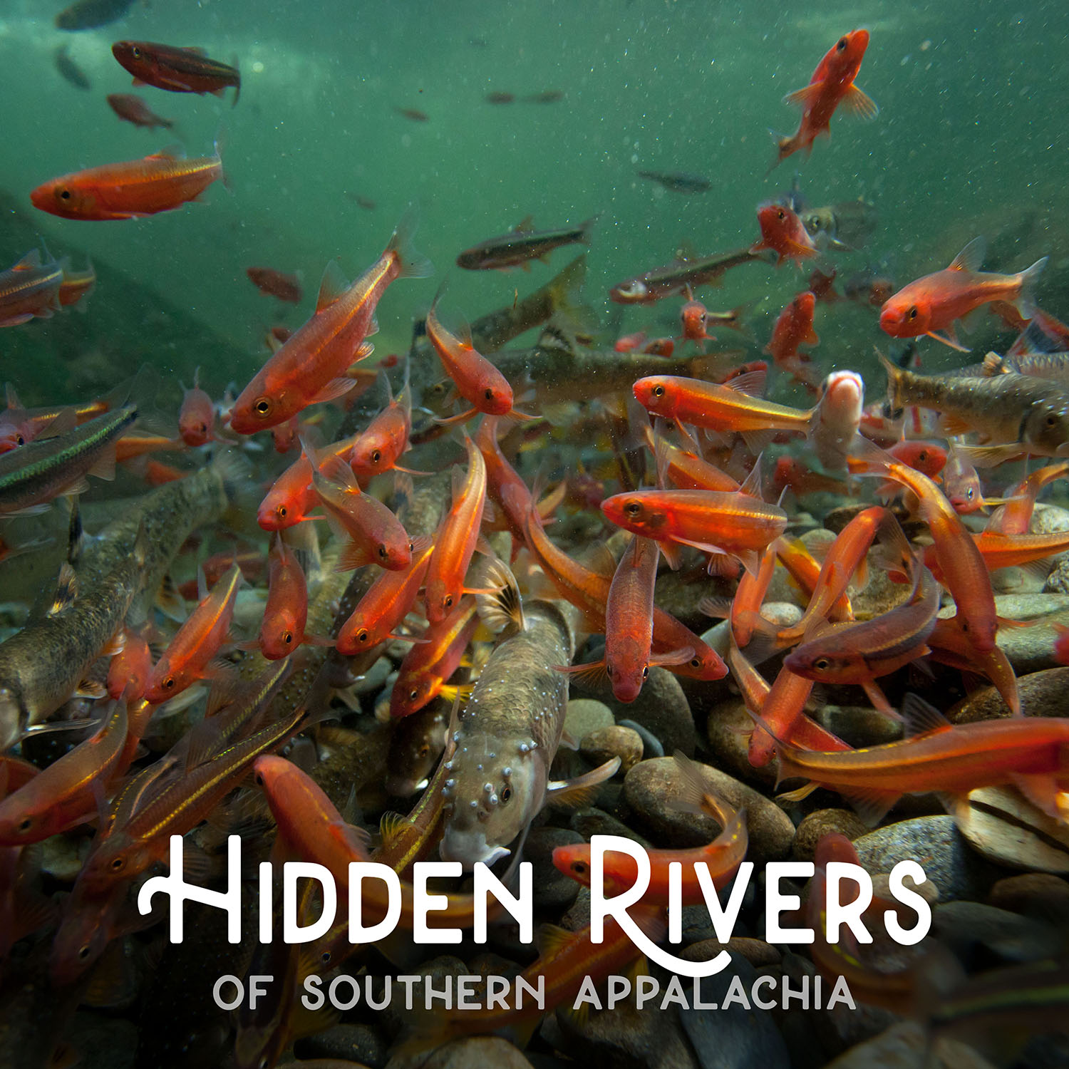 Rivers and Reels Fest