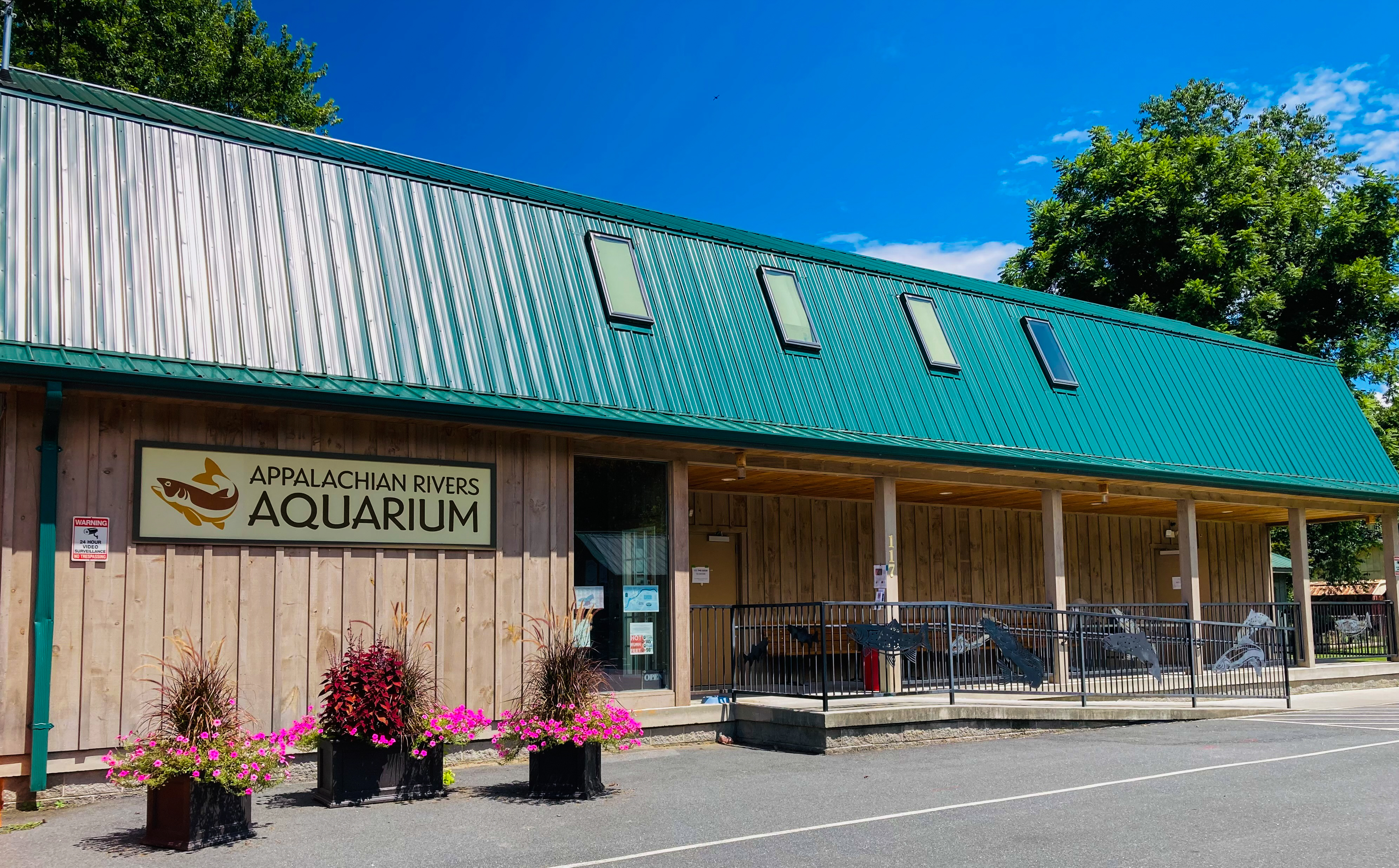 City farmers shop fish tanks