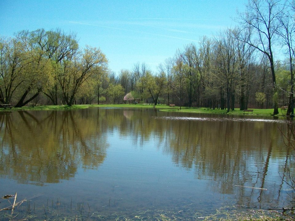 Ryder Park