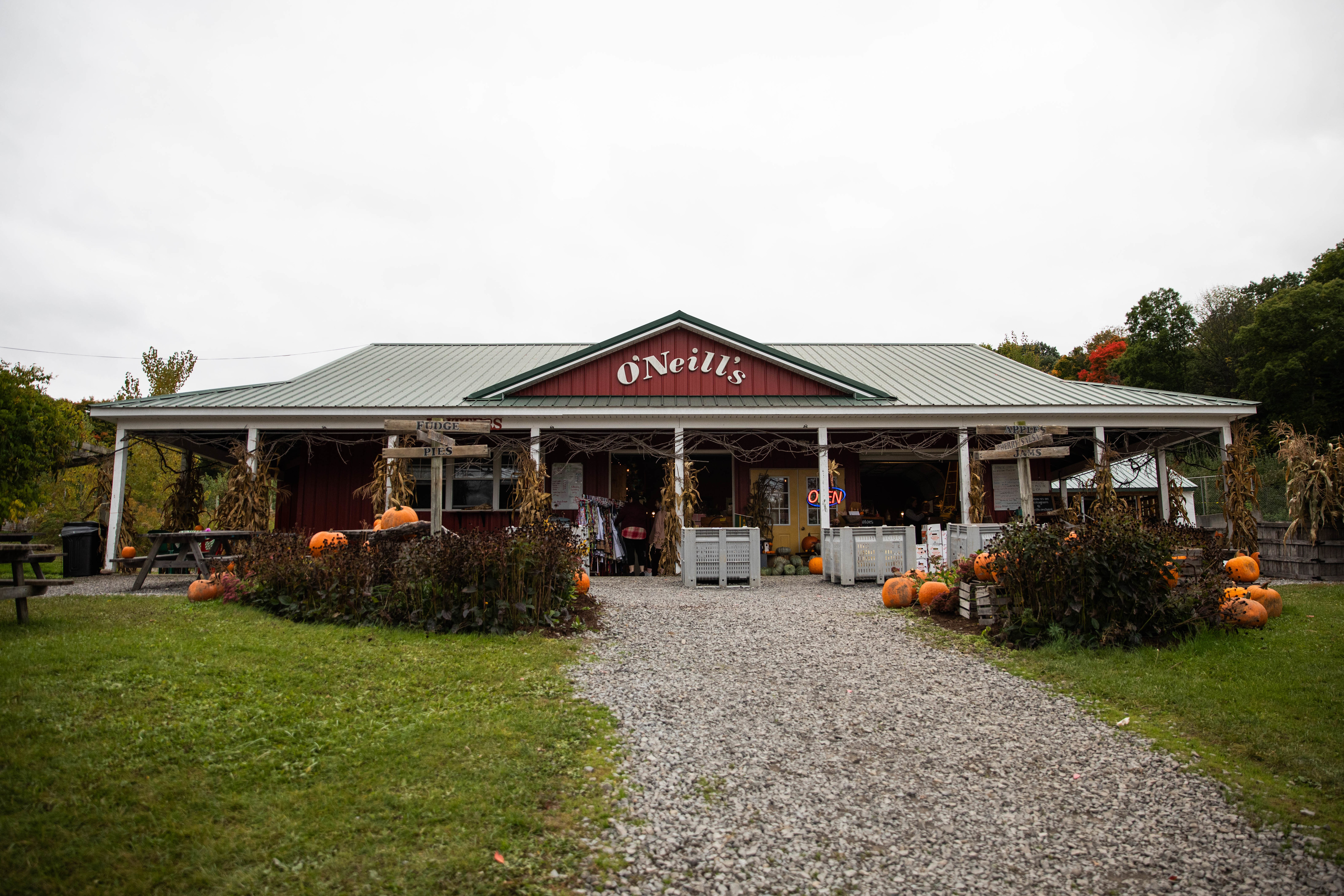 O'Neill's Orchard in Lafayette, NY