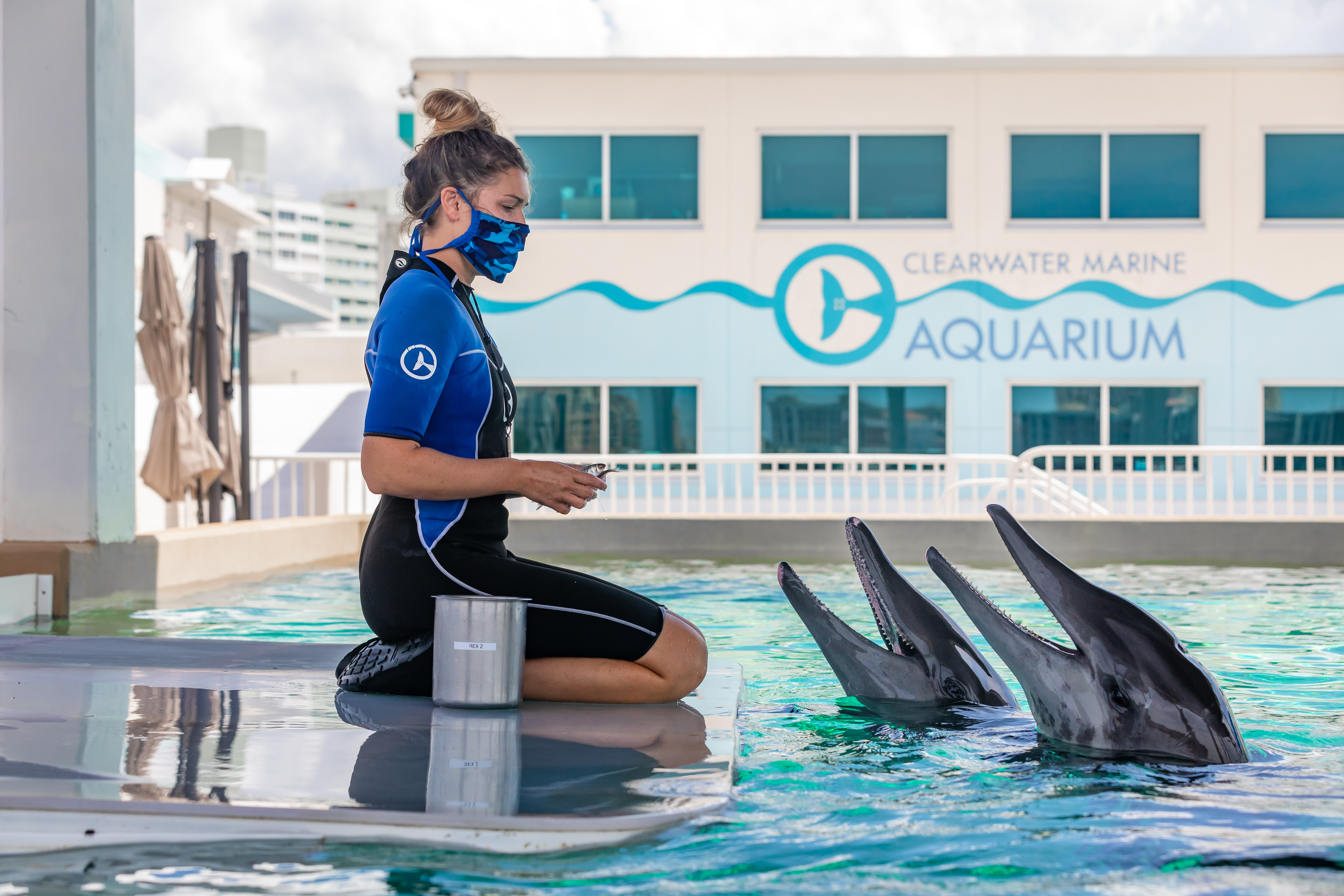 Stone Dolphin Complex Webcam 1 - Pool 1 - Clearwater Marine Aquarium