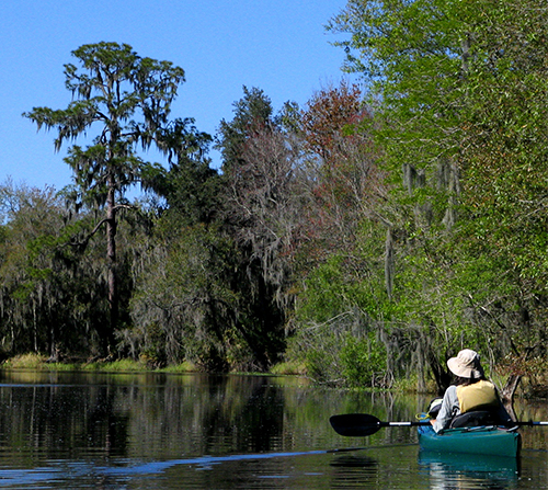 Alafia River