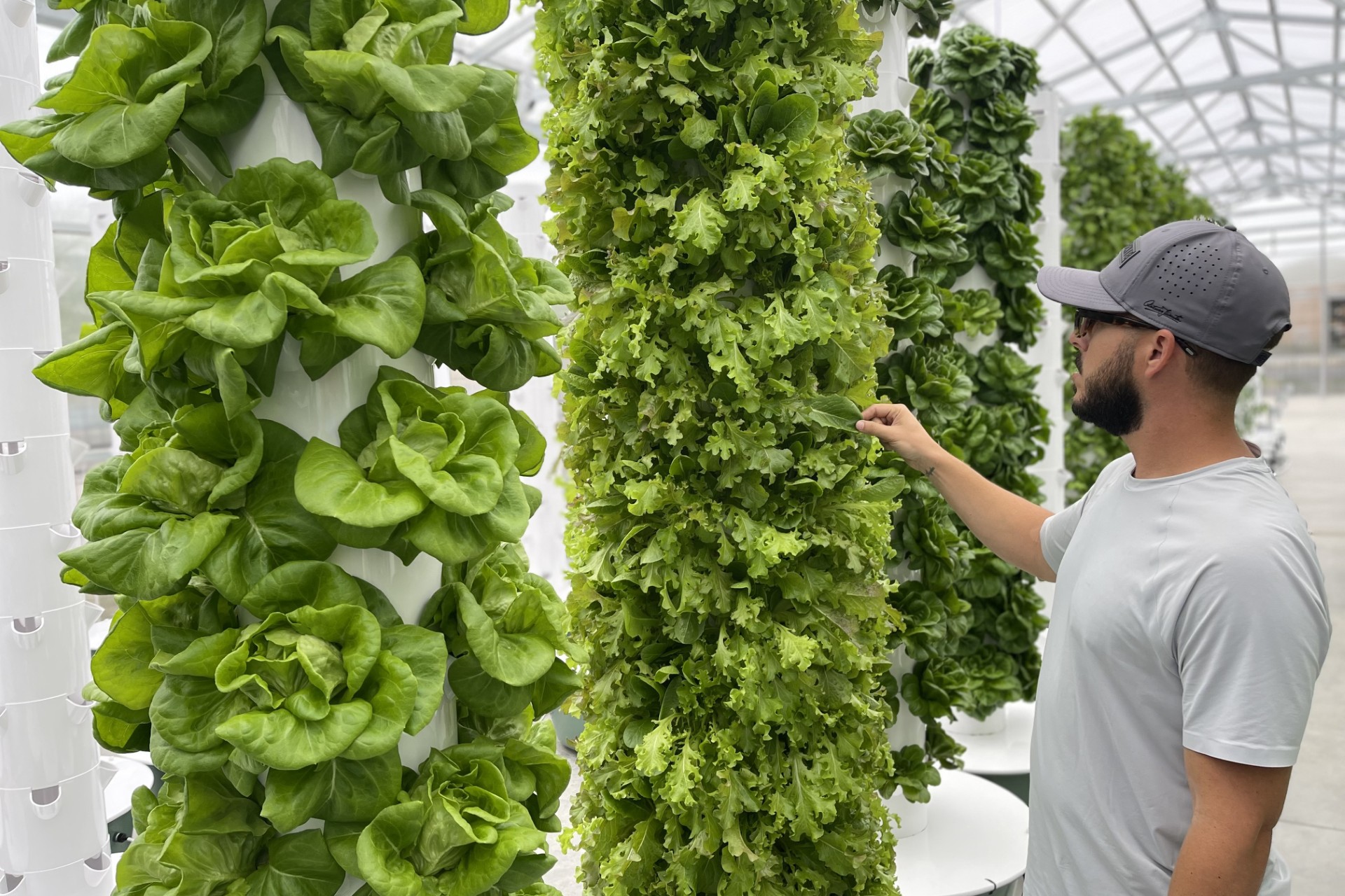 Le Roots Premium Urban Farm - Visit Tampa Bay
