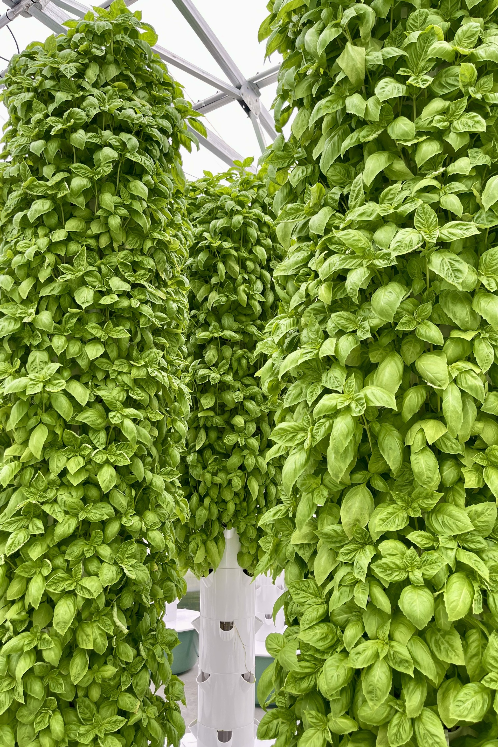 thumbnail_Visit-Tampa-