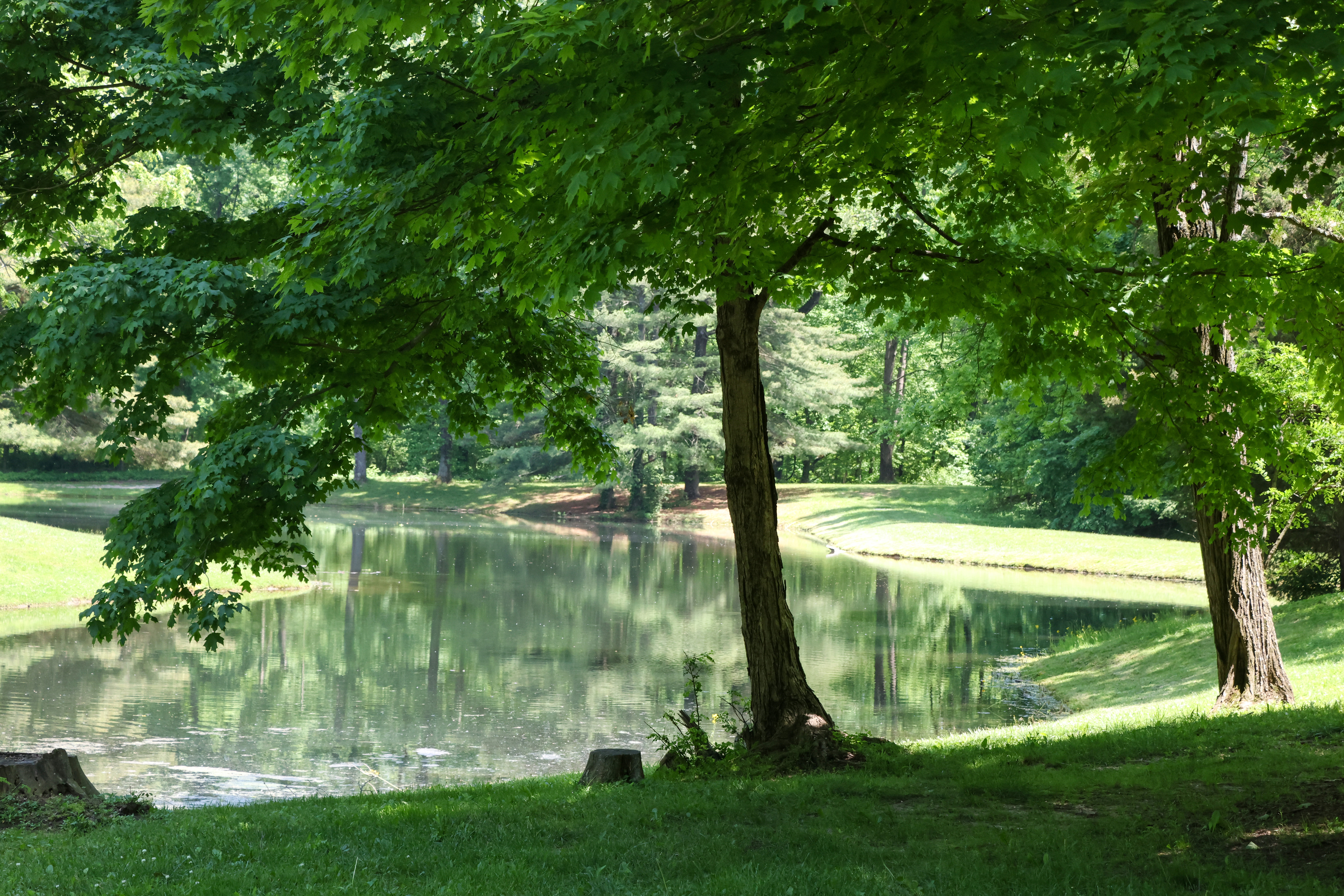 Creek On The Lake 2105 TEE L クリーク　creek Granite Creek Trail to Granite Lakes - YouTube