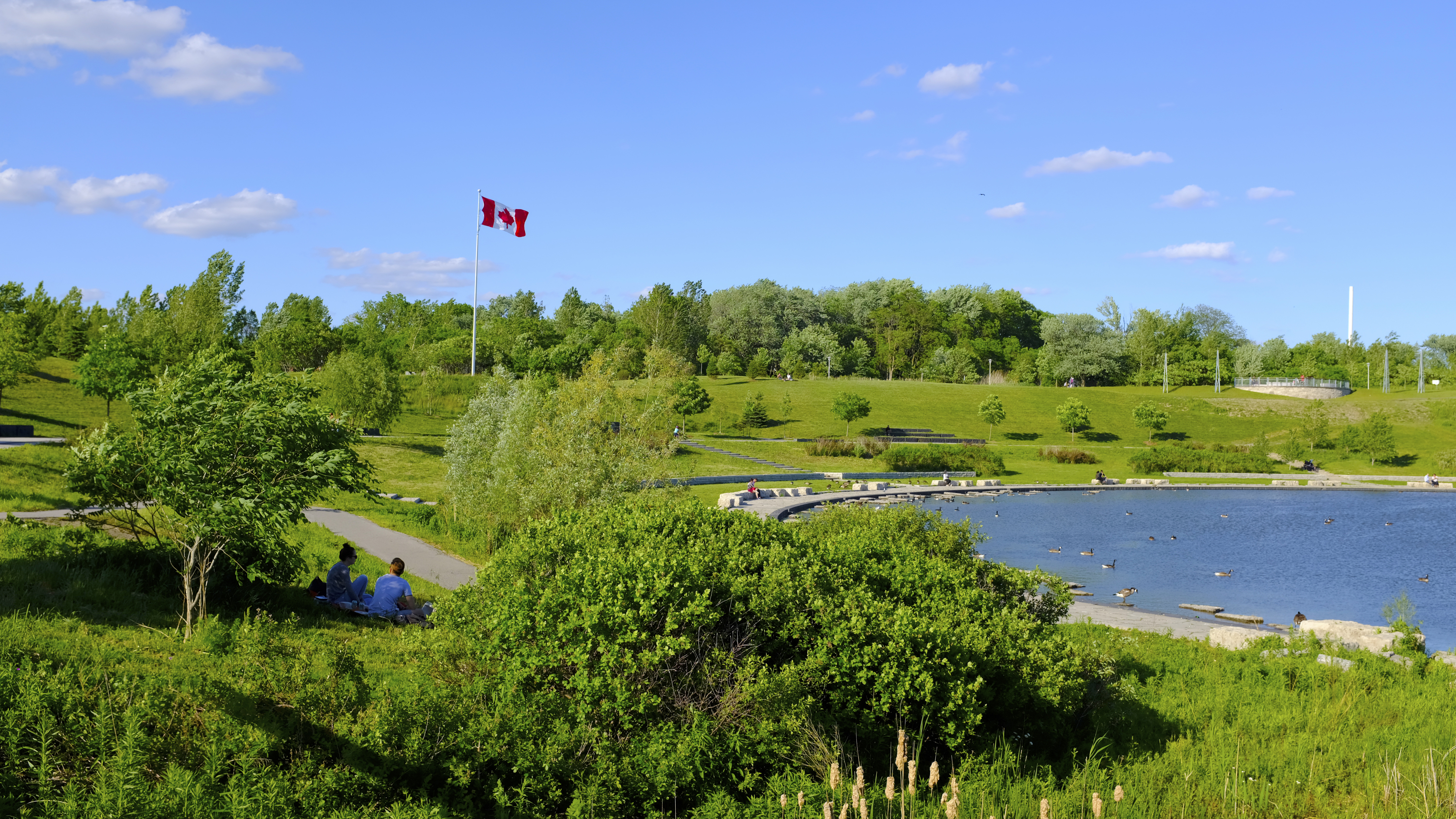 Downsview Park Parking