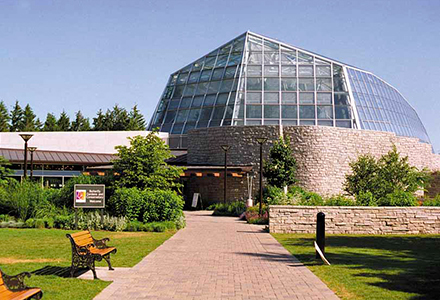 butterfly conservatory toronto