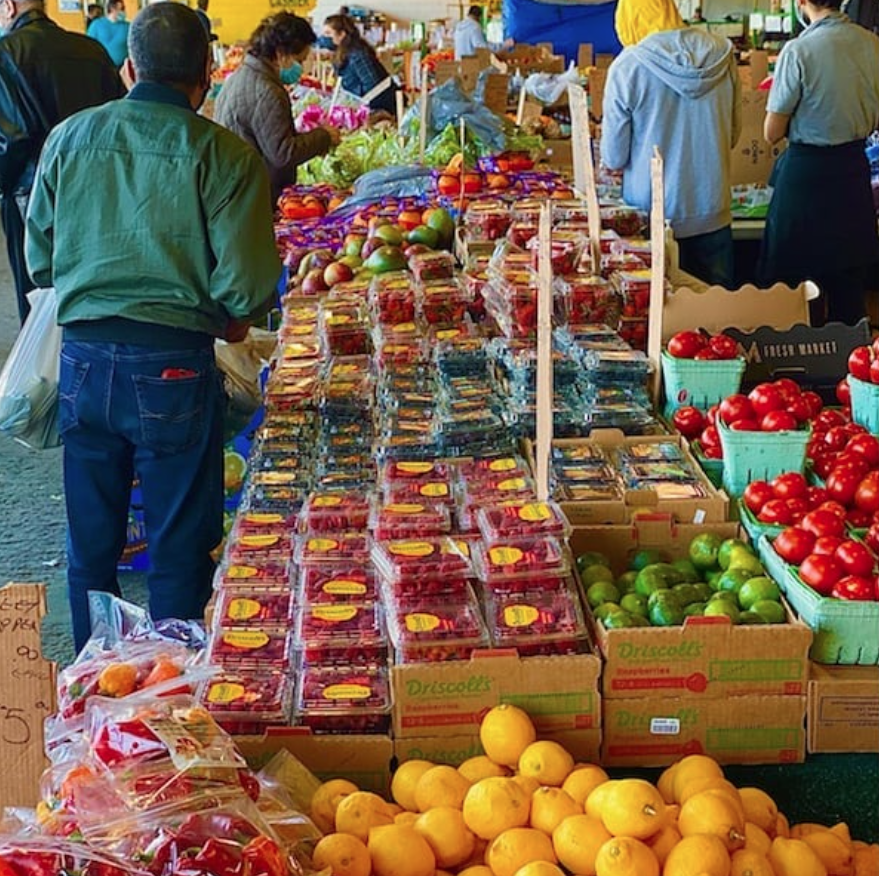 Downsview Park Merchants Market | Toronto, ON M3K 2C1