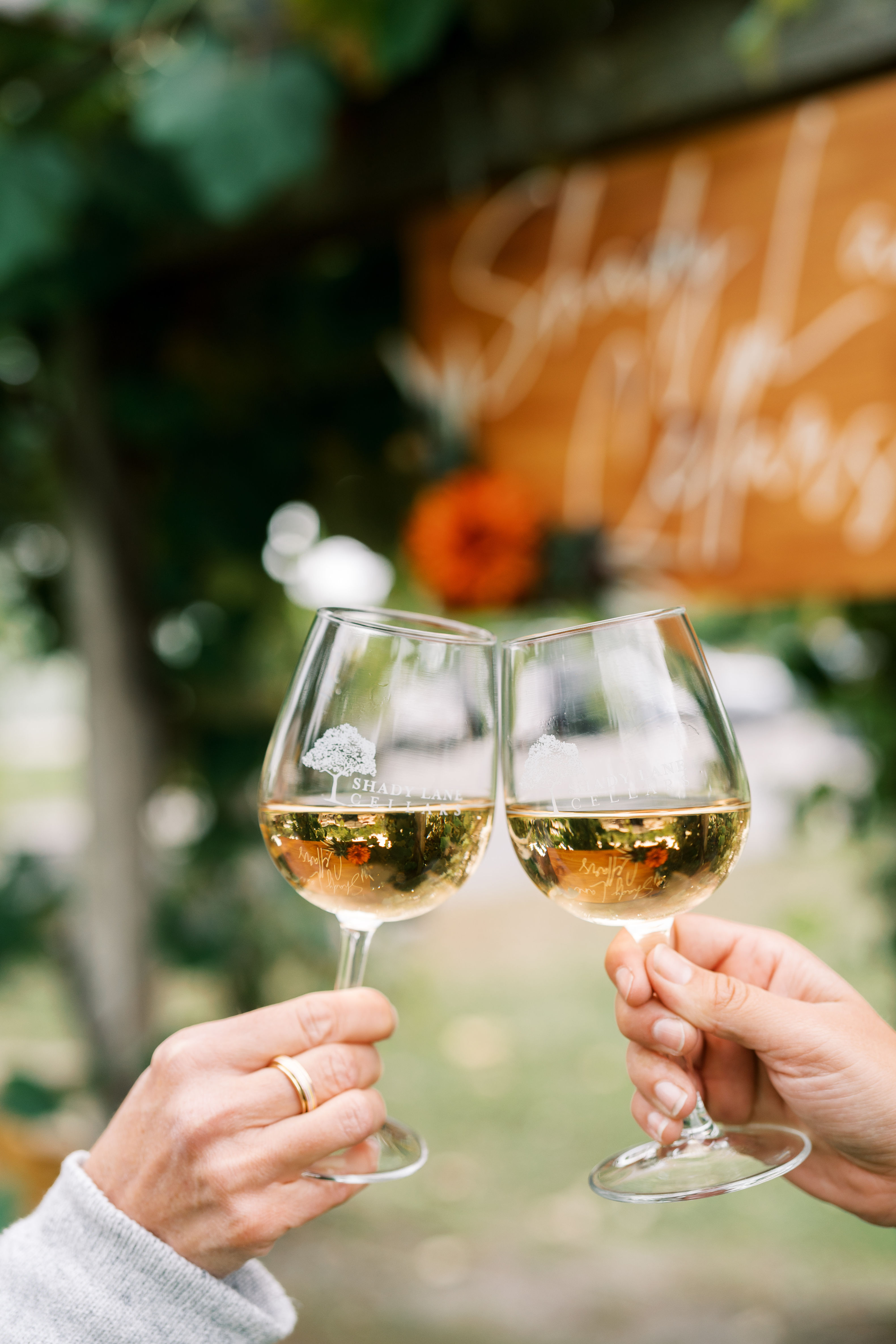 Trivia Night at Shady Lane Cellars photo 2