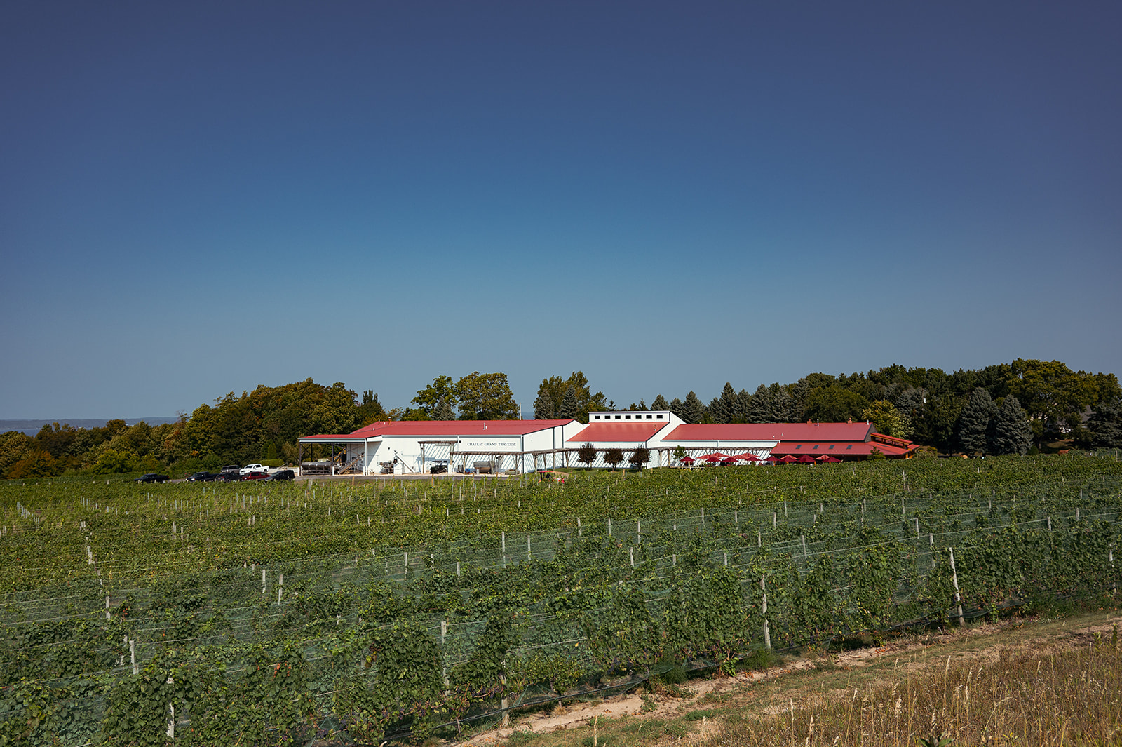 Sound Bites: Live Music with Christina Teresa photo 2