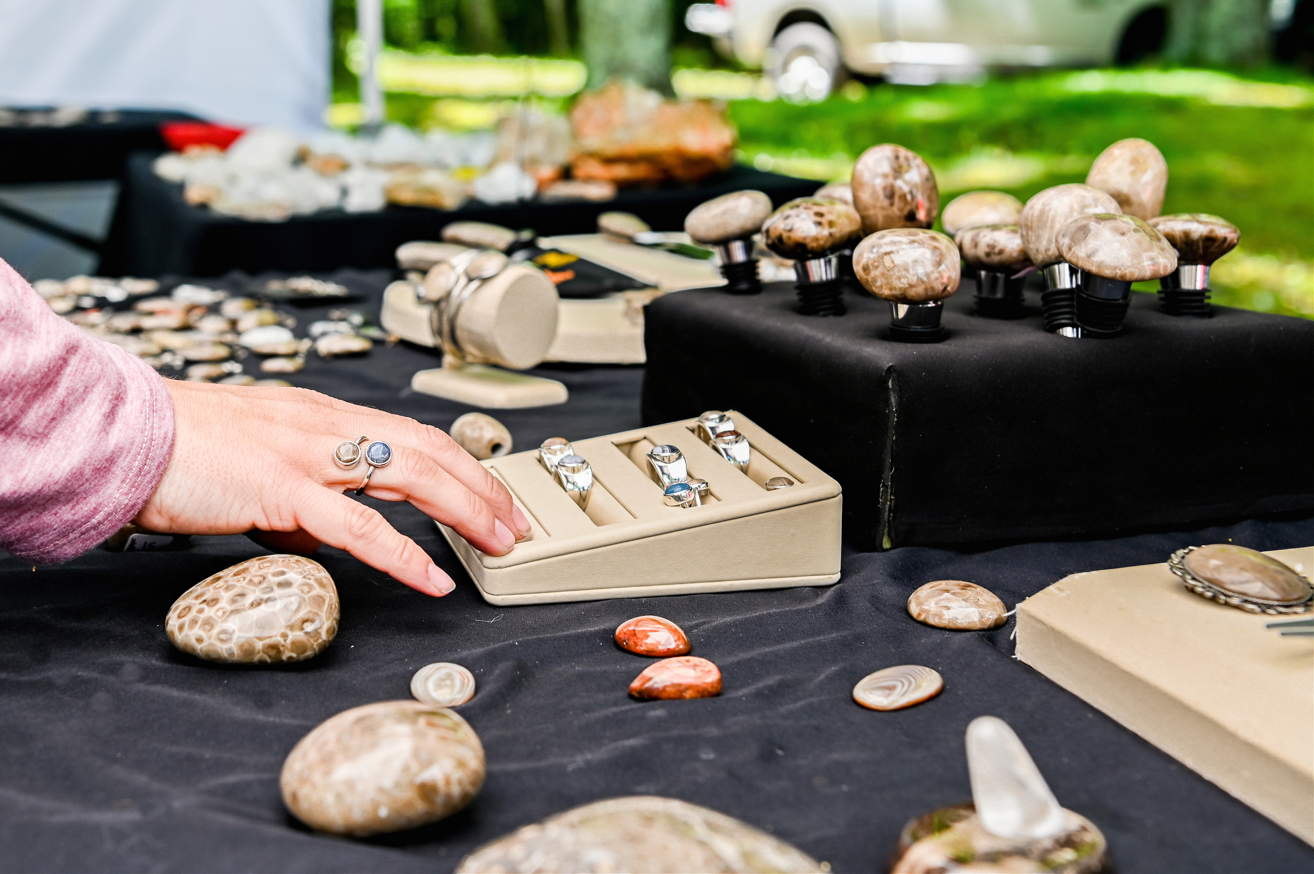 20th Annual Petoskey Stone Festival photo 3