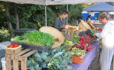 Sara Hardy Downtown Farmers Market Traverse City Mi 49684