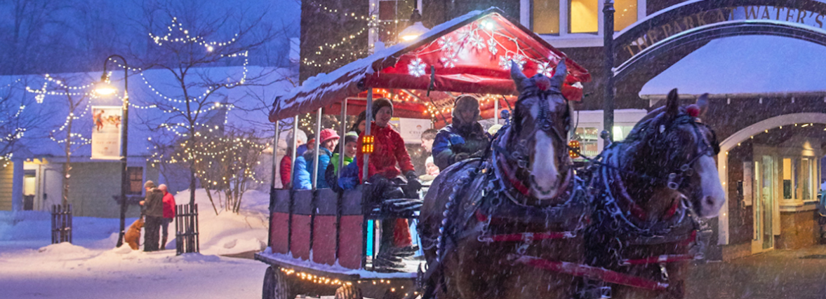 Horse Drawn Surrey Rides event photo