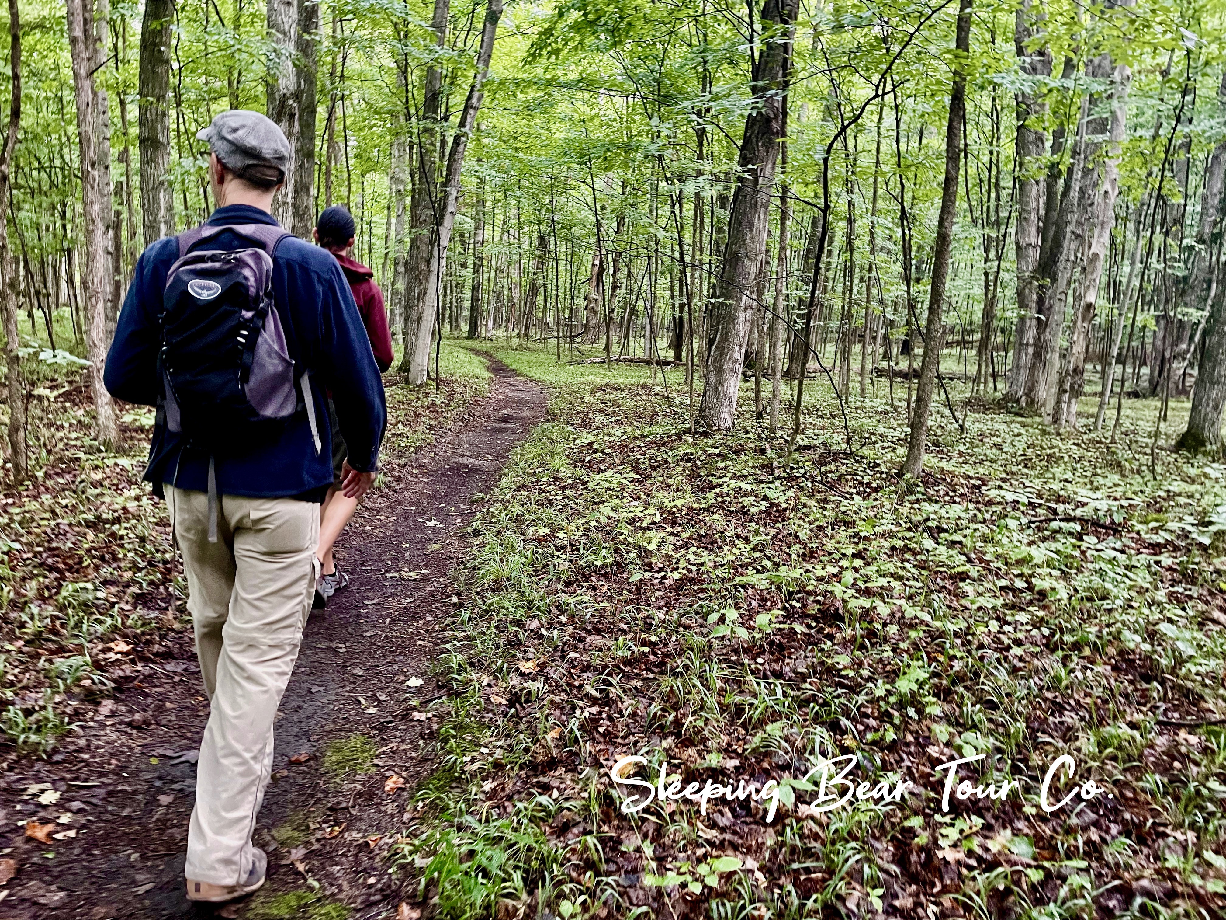 Forest Walk, Sleeping Bear Dunes National Lakeshore photo 2