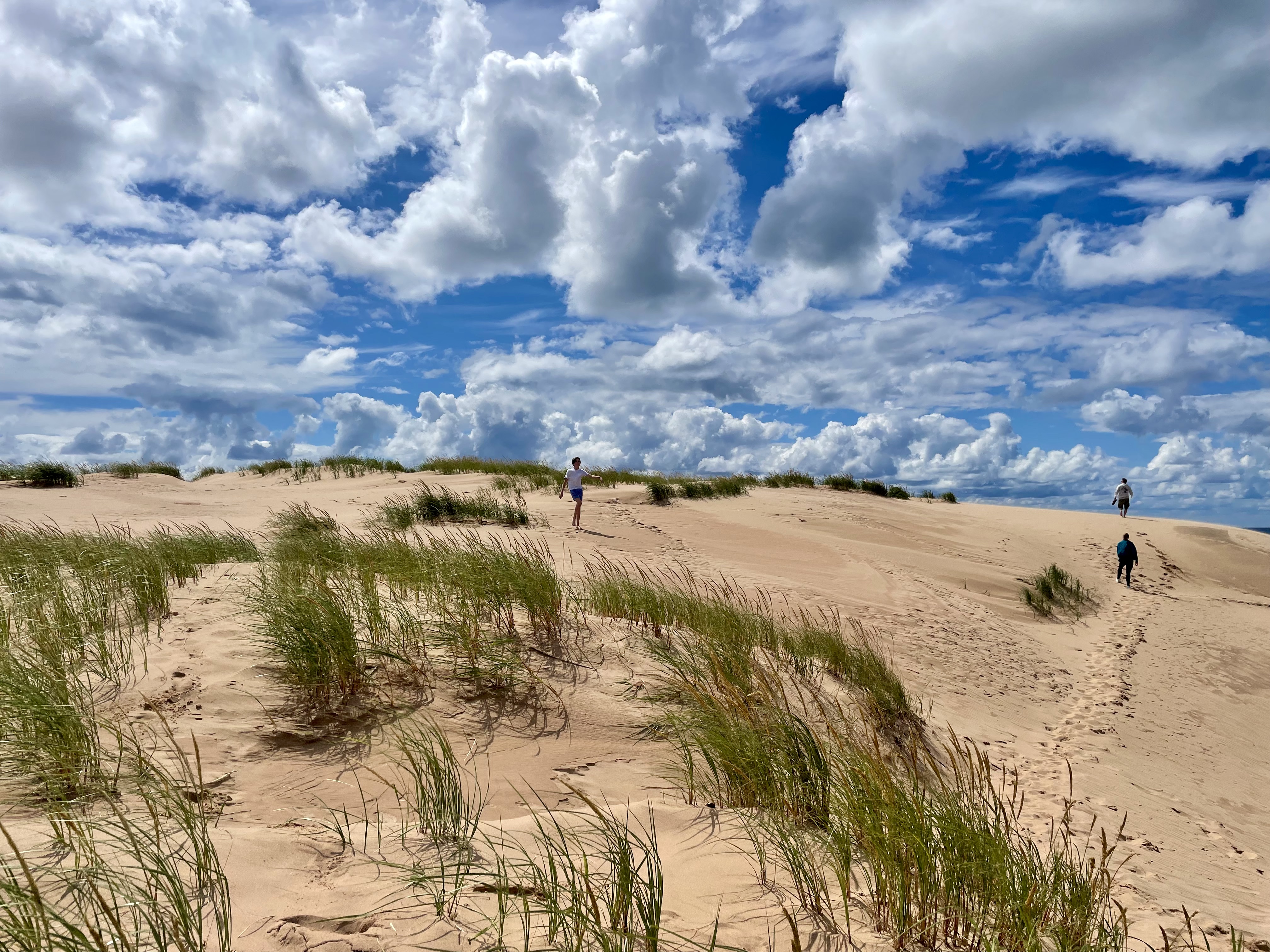 Dune Tour, Sleeping Bear Dunes National Lakeshore photo 4