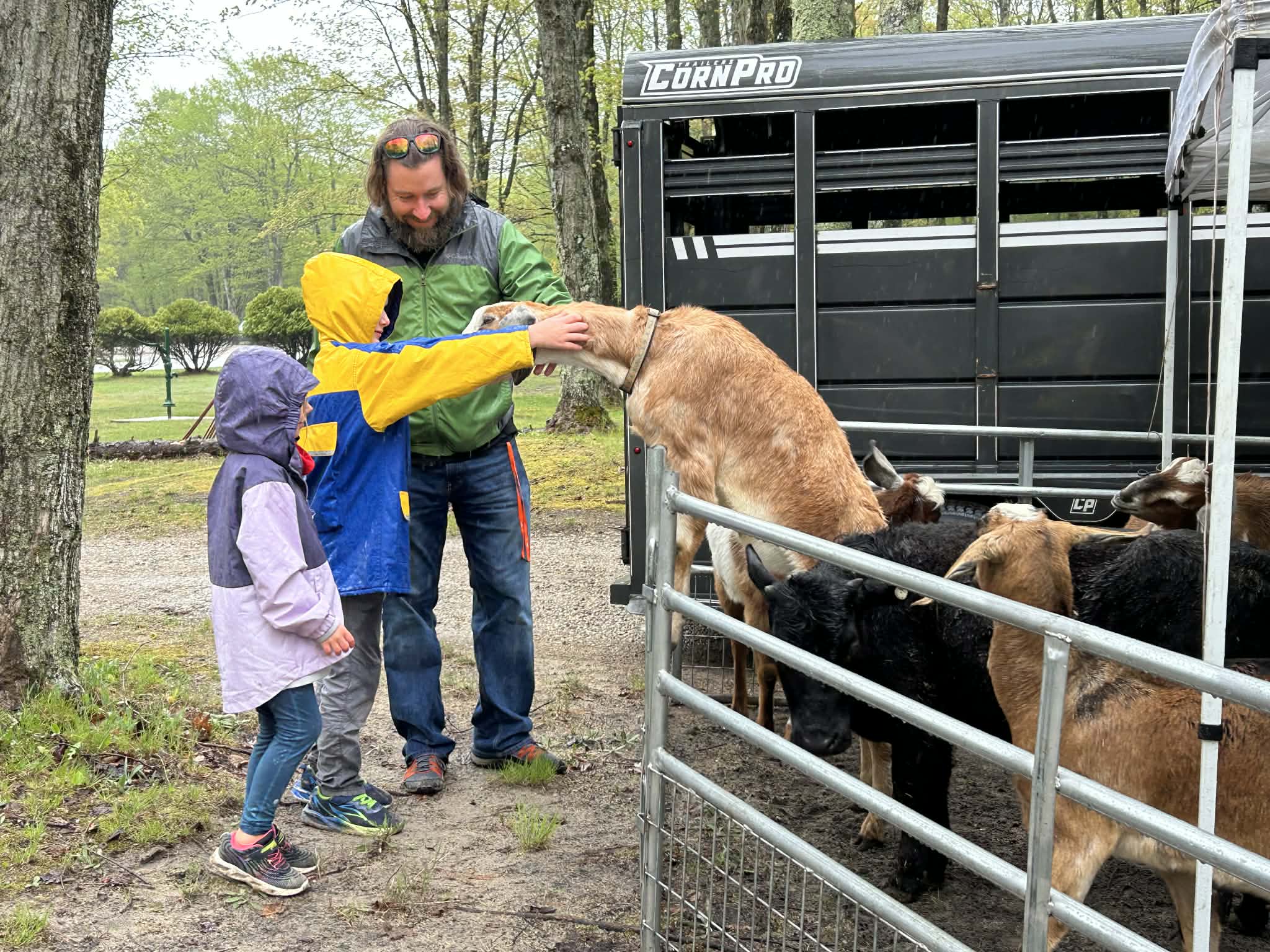 20th Annual Petoskey Stone Festival photo 2